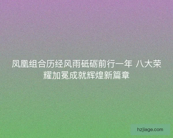 凤凰组合历经风雨砥砺前行一年 八大荣耀加冕成就辉煌新篇章